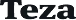Teza Technologies logo