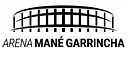 Arena BSB logo