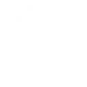 Paradox Interactive logo