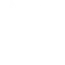 St. Vincent Institution logo