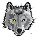 Dan Wolf Automotive Group logo