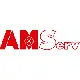 AMServ Süd GmbH & Co. KG logo