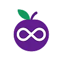 Plum logo