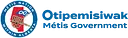 MNA logo