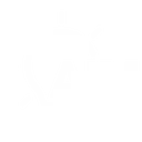 Assessment Intervention Management logo