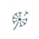 Kindsgut logo