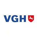 ivv logo