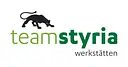 Team Styria Werkstätten logo