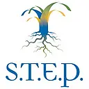 Strategies to Empower People Inc. logo