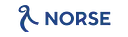 Flynorse logo
