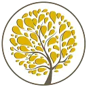 TLC Management logo