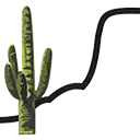 Wickenburg Community Hospital logo