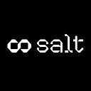 Salt Ai logo