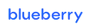 Blueberry Pediatrics logo