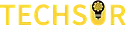 TechSur Solutions logo