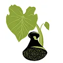 Hawaii Health & Harm Reduction Center logo