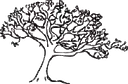 Silver Maple logo