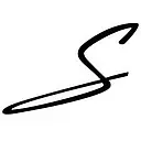 Singer Group logo