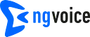 ng-voice logo