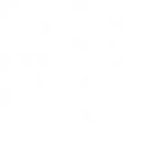 Wise Ink Media logo