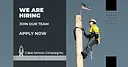 Cable Services Company logo