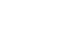 DISA logo
