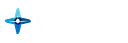 Corporate Flight Management logo