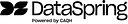 DataSpring logo