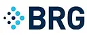 Berkeley Research Group logo
