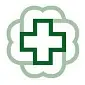 Bronson Healthcare Group logo