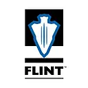 FLINT Corp. logo