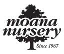 Moana Nursery logo