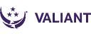 Valiant Government Services logo