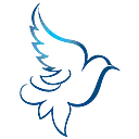 Dove Healthcare logo