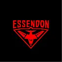 Essendon Football Club logo