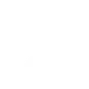 Branch logo