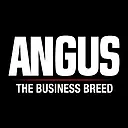 New Angus LLC logo