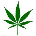 AD Medical logo