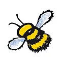 Haskins logo