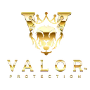 Valor Protection Safety Agency logo
