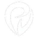 Provectus logo