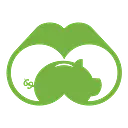 Visual Capitalist logo