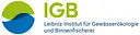 IGB logo