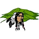 Ruidoso Municipal Schools logo