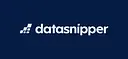 DataSnipper logo