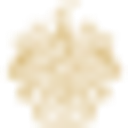 The Mar-a-Lago Club logo