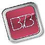 BVB-Verlagsgesellschaft mbH logo