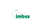 imbus AG logo