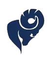 Resolute Asset Management logo