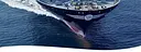 Danaos Shipping logo